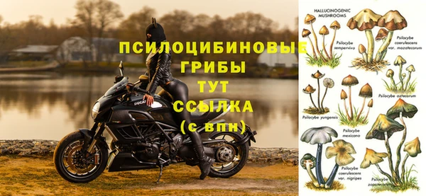 синтетический гашиш Абдулино