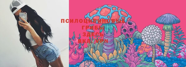 кокс Алексин