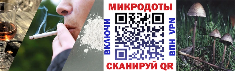 Галлюциногенные грибы GOLDEN TEACHER  закладки  Шахунья 